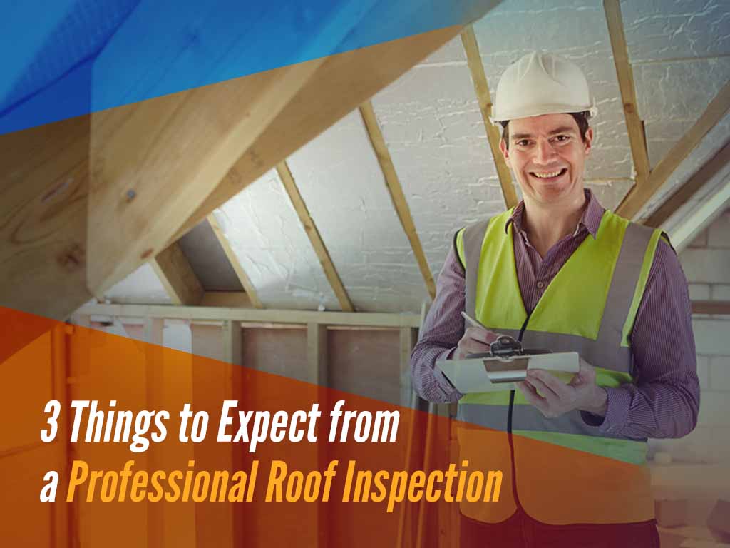 Professional Roof Inspection