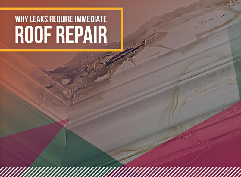 Why Leaks Require Immediate Roof Repair