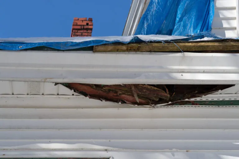 Damaged siding. The Ugly Truth About Damaged Siding - 3JM Exteriors