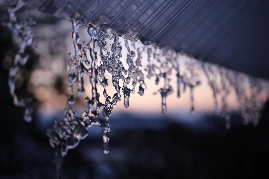 10 Common Roof Leak Causes & How to Spot Them Early A Roof Leak Detection Guide for Suburban Chicagoland Homeowners